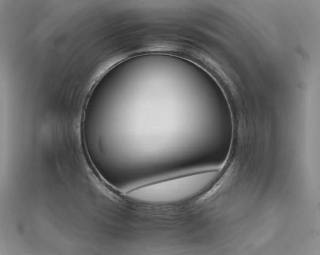 X0000113171417200909041312