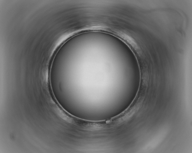 X0000113171420200909041312