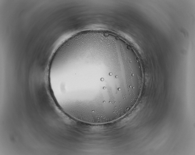 X0000113171421200909041312
