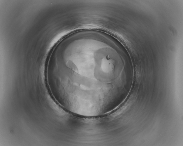X0000113171422200909041312