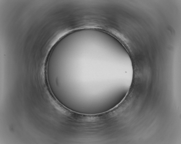 X0000113171423200909041312