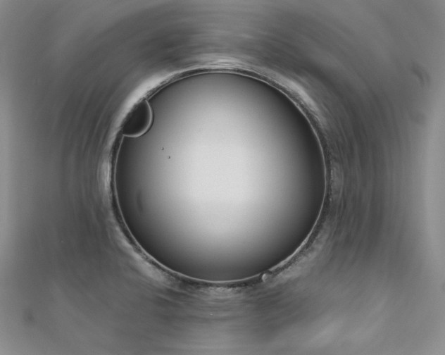 X0000113171424200909041312