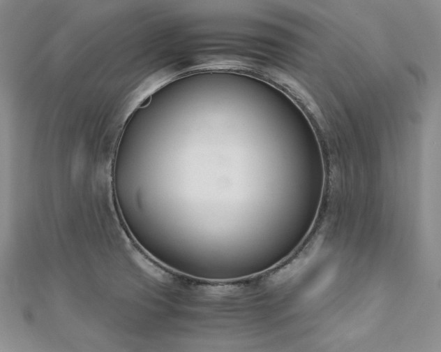 X0000113171425200909041312