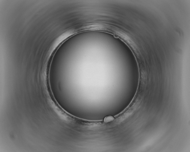X0000113171426200909041313