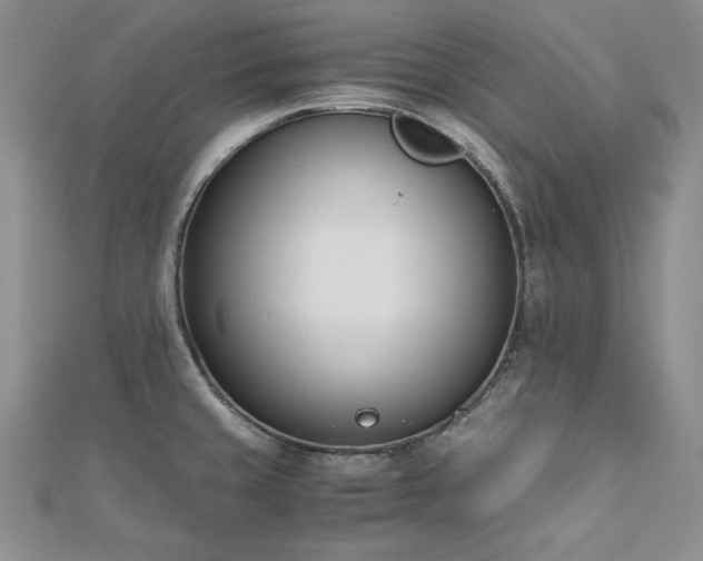 X0000113171429200909041313