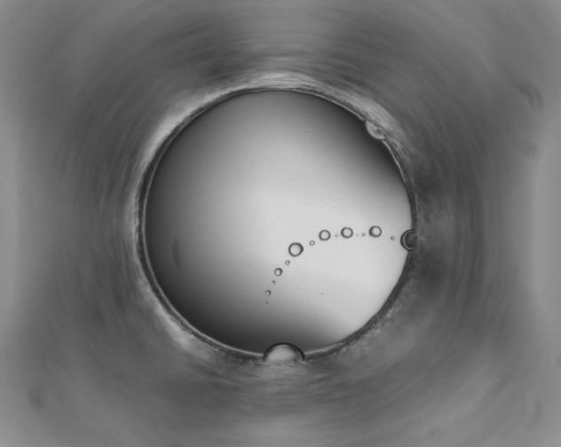 X0000113171430200909041313