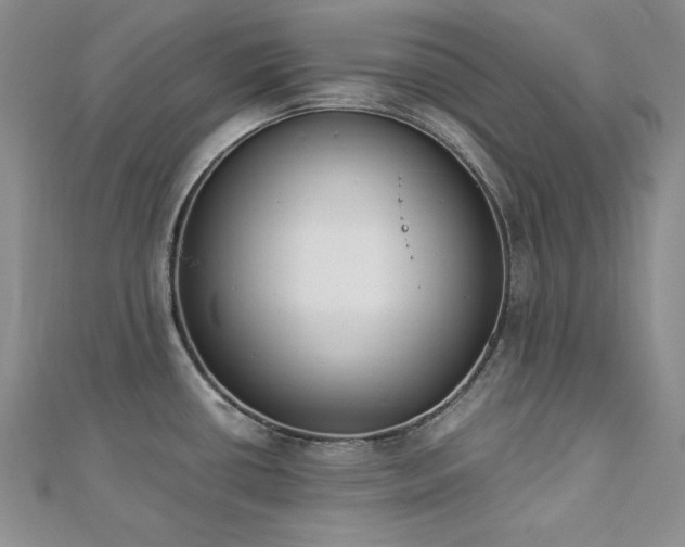 X0000113171434200909041313