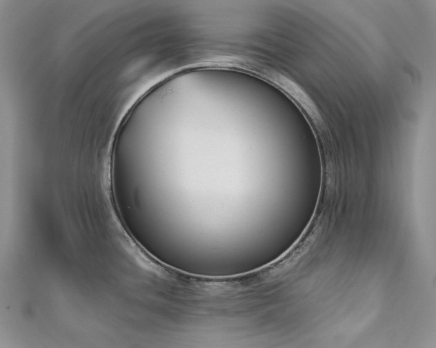 X0000113171436200909041313