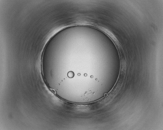 X0000113171439200909041313