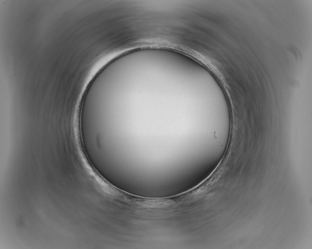 X0000113171440200909041313