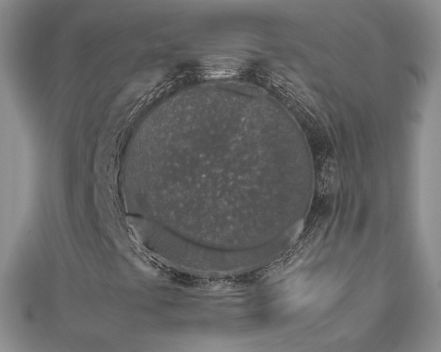 X0000113171441200909041312