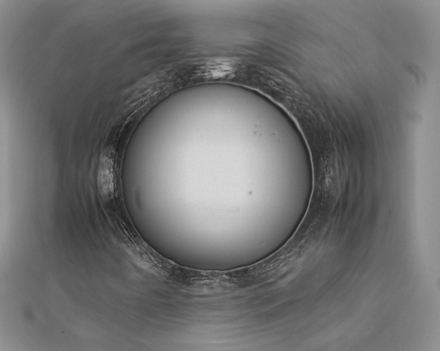 X0000113171442200909041312