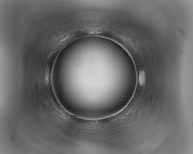 X0000113171444200909041312