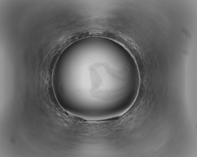 X0000113171445200909041312