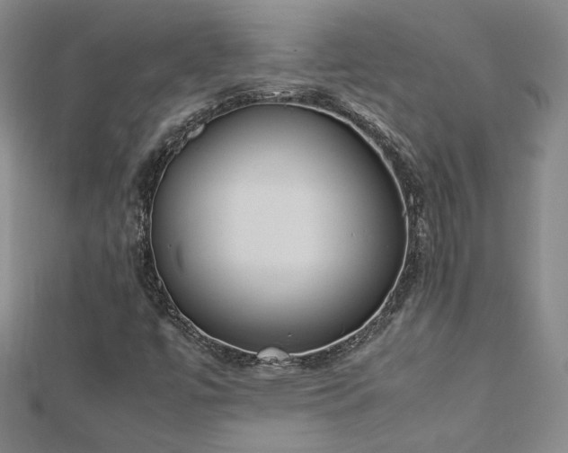 X0000113171447200909041312