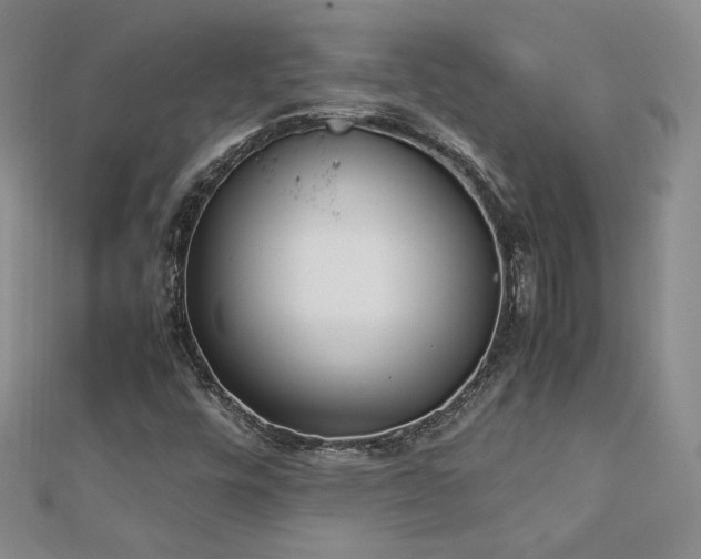 X0000113171448200909041312