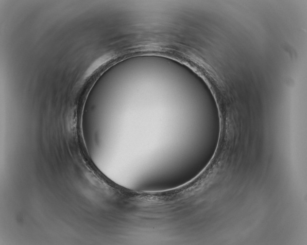 X0000113171450200909041312