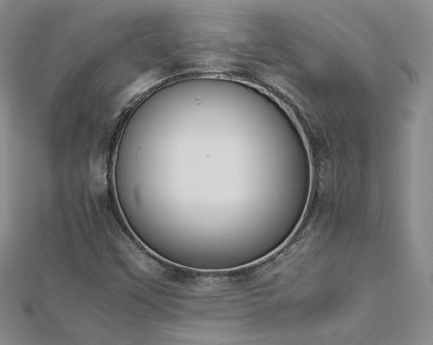 X0000113171451200909041312