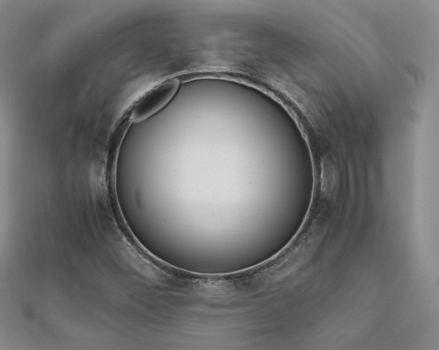 X0000113171452200909041312