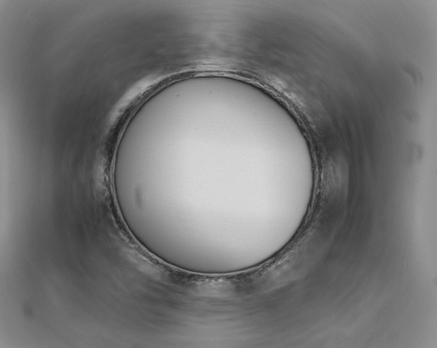 X0000113171454200909041312