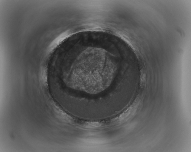 X0000113171455200909041312