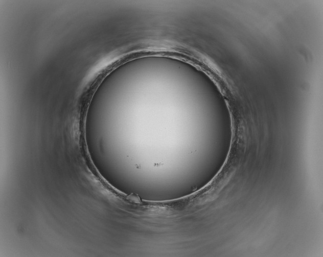 X0000113171456200909041312