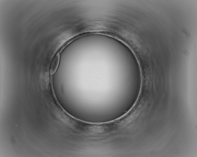 X0000113171457200909041312