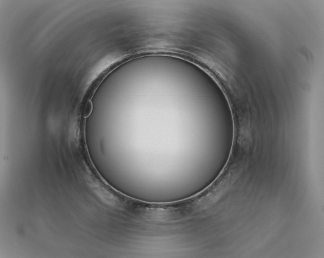 X0000113171458200909041312