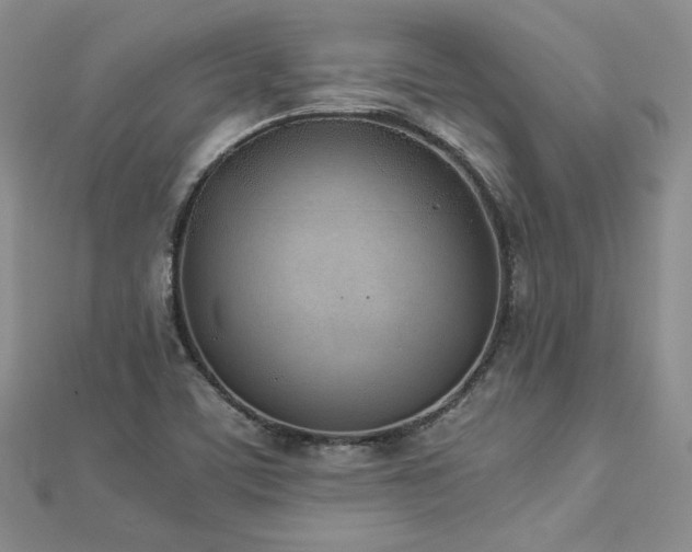 X0000113171459200909041312