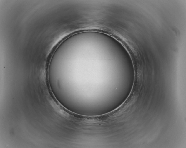 X0000113171460200909041312