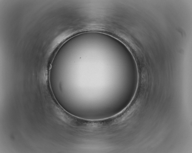 X0000113171461200909041312
