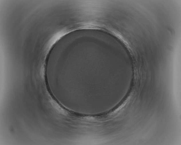 X0000113171463200909041312