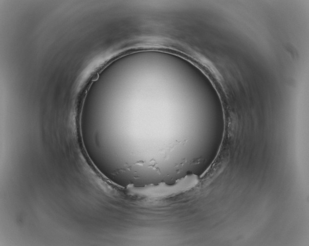 X0000113171464200909041312