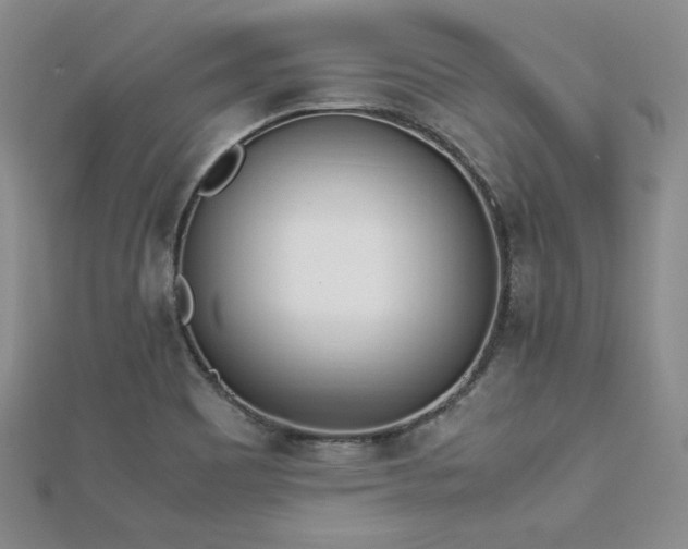 X0000113171465200909041312