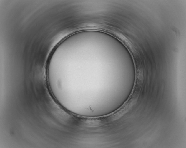X0000113171466200909041312