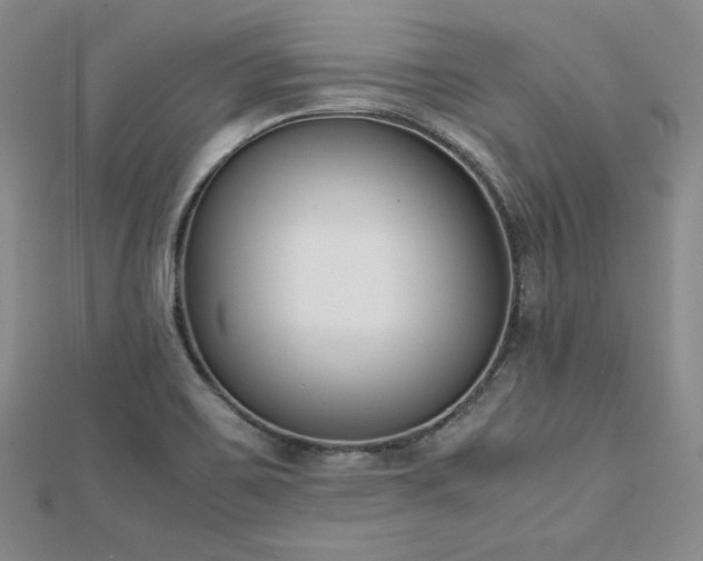 X0000113171467200909041312