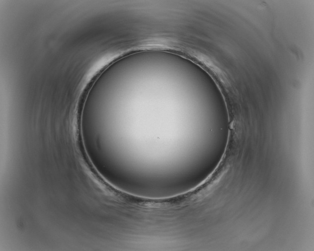 X0000113171469200909041312