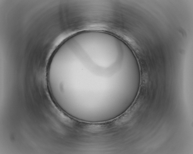 X0000113171470200909041312
