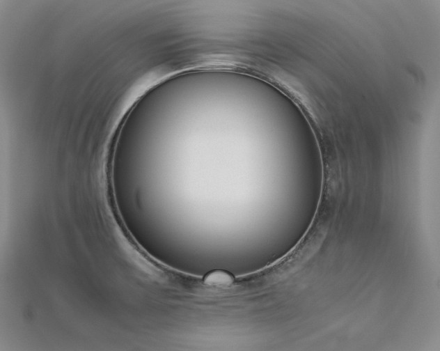 X0000113171475200909041312
