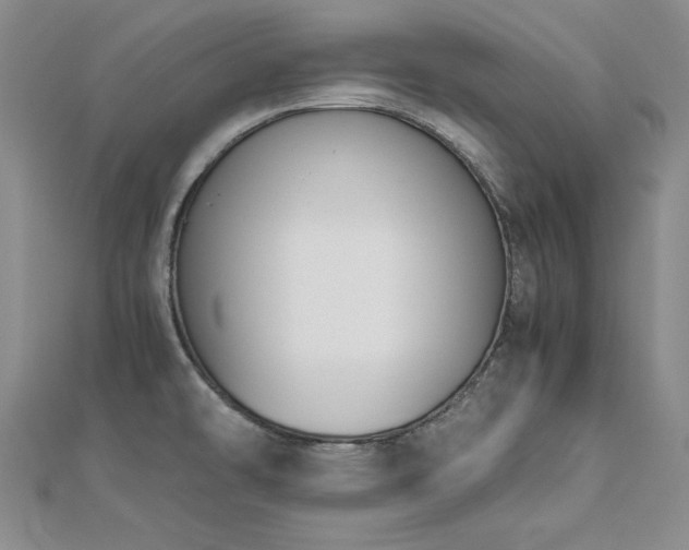 X0000113171478200909041312