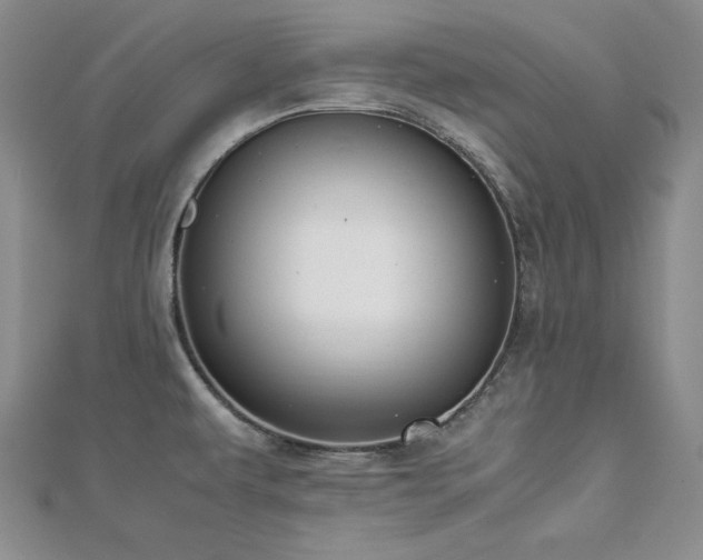X0000113171479200909041312