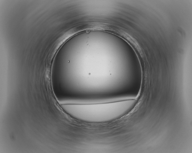 X0000113171481200909041312