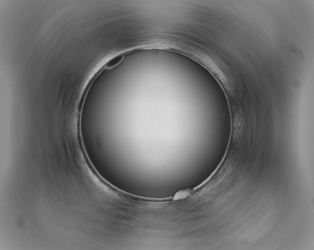 X0000113171484200909041312