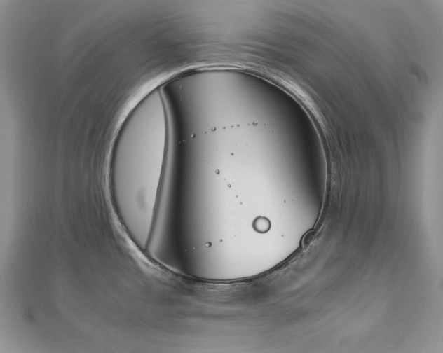 X0000113171485200909041312