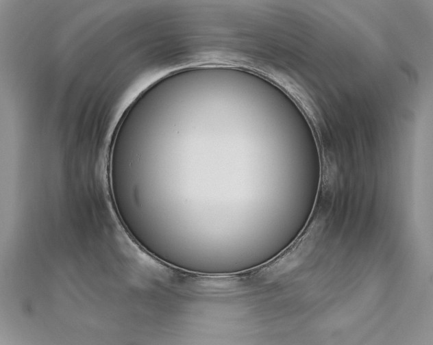 X0000113171486200909041311