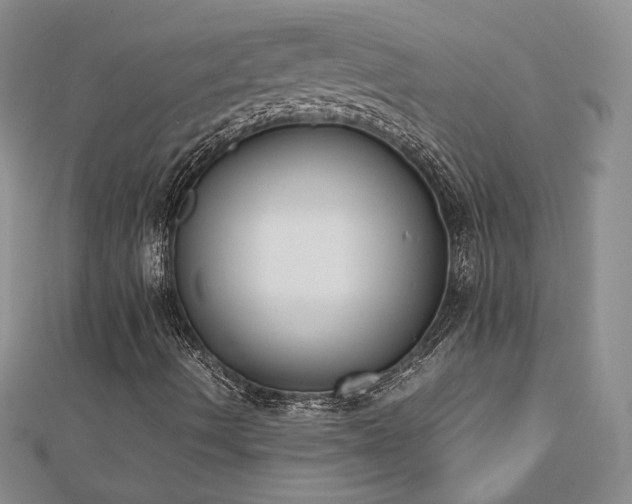 X0000113171490200909041311