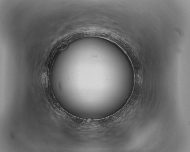 X0000113171493200909041311