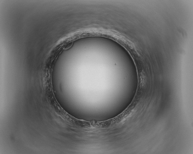 X0000113171494200909041311
