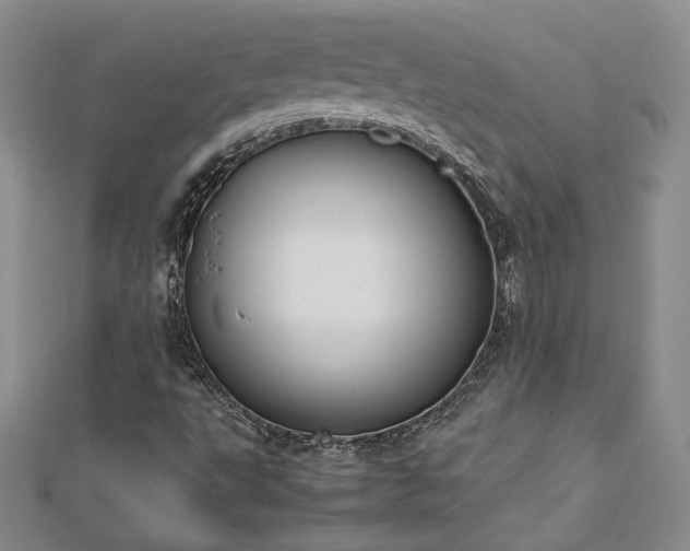 X0000113171495200909041311