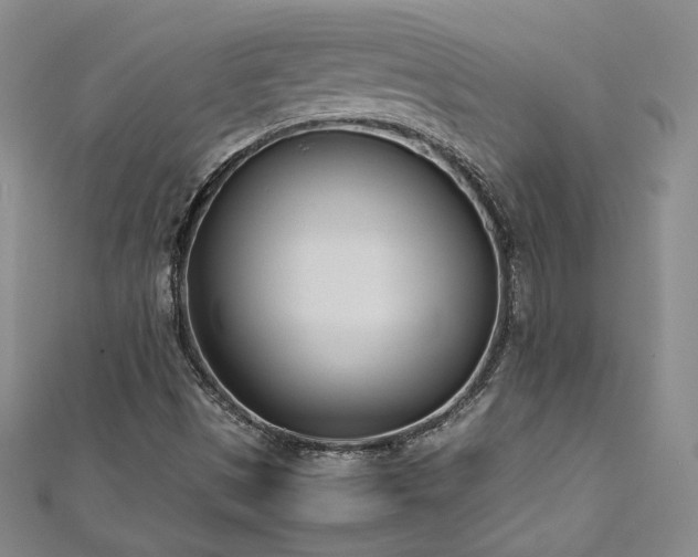 X0000113171497200909041311